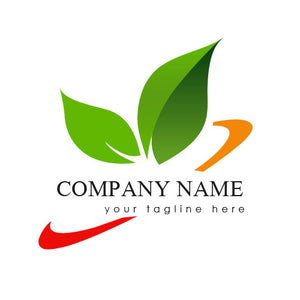 i will design amazing logo for your brand