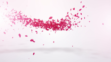 Load image into Gallery viewer, i will make amazing petals logo reveal video intro for you