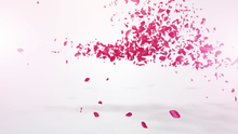 Load image into Gallery viewer, i will make amazing petals logo reveal video intro for you