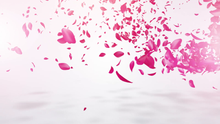 Load image into Gallery viewer, i will make amazing petals logo reveal video intro for you