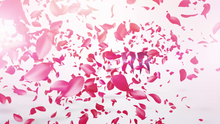 Load image into Gallery viewer, i will make amazing petals logo reveal video intro for you